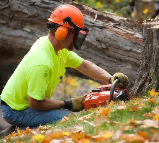 tree services Hershey